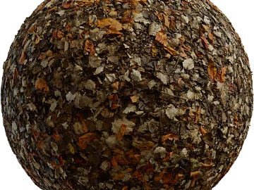 deciduous PBR texture (ID:ffach655664)