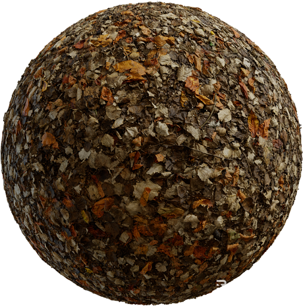 deciduous PBR texture