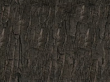 ancient tree bark texture (ID:ffadf7747)
