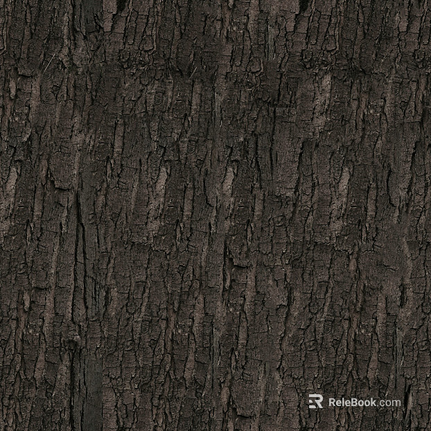 ancient tree bark texture