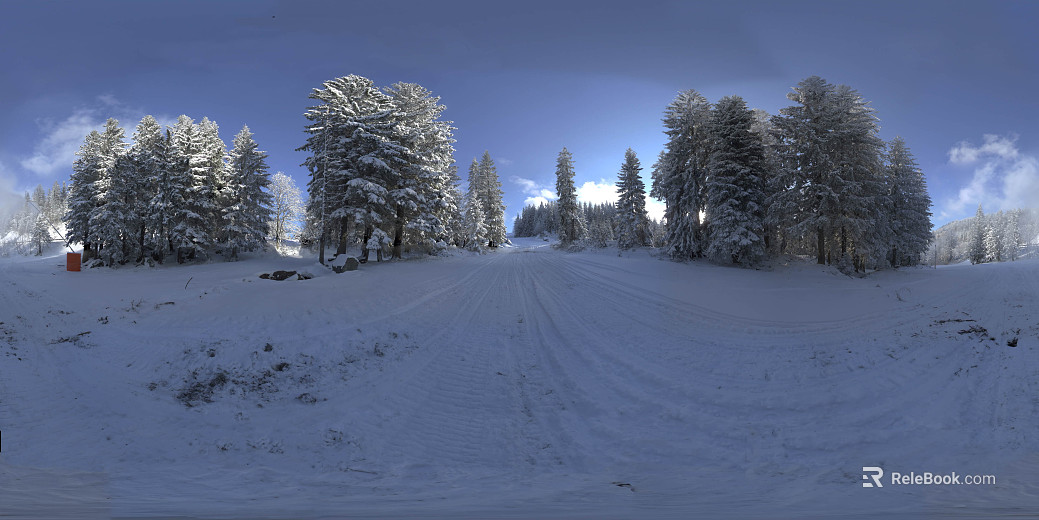 Outdoor Mountain Forest Snow Winter Daytime Sunny Day HDR texture