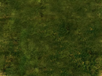 moss texture (ID:ffagg79563)