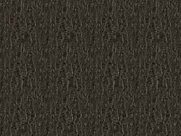 bark texture (ID:ffajg46901)