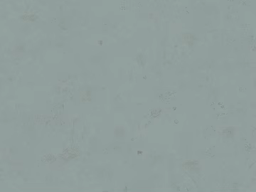 Mud texture (ID:ffaag55297)