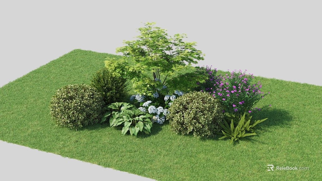 Green Plant Combination Garden Landscape texture