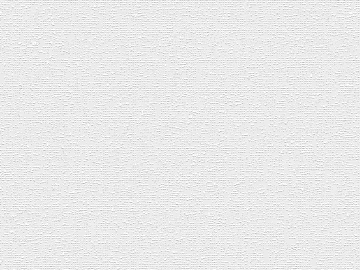 plain cloth texture (ID:ffach787146)