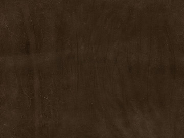 fine grain leather texture (ID:ffagg03657)