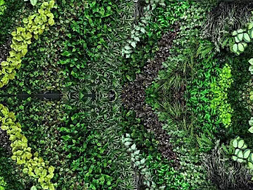 Plant wall texture (ID:ffaag47270)