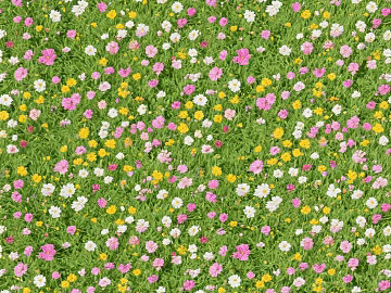 turf greenbelt grass ground grass texture (ID:ffach626418)