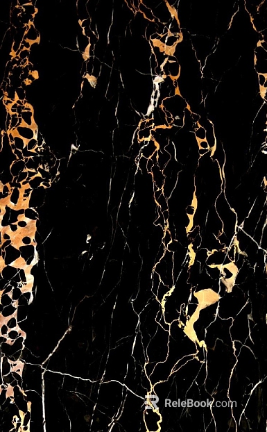 Black Golden Flower Marble texture