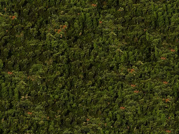 Yamaguform texture (ID:ffacg21676)