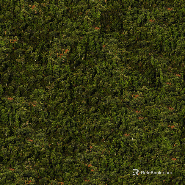 Yamaguform texture