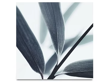 Plant painting texture (ID:ffacg05892)