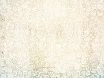 Pattern Wallpaper texture (ID:ffaag36092)