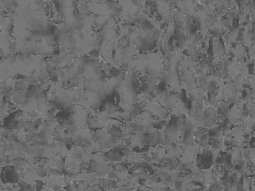 Grey Shell Fossil Rock Wall Stone texture (ID:ffaeh293826)