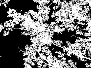 Black and White Tree Shadow Decoration Map texture (ID:ffaeh864936)