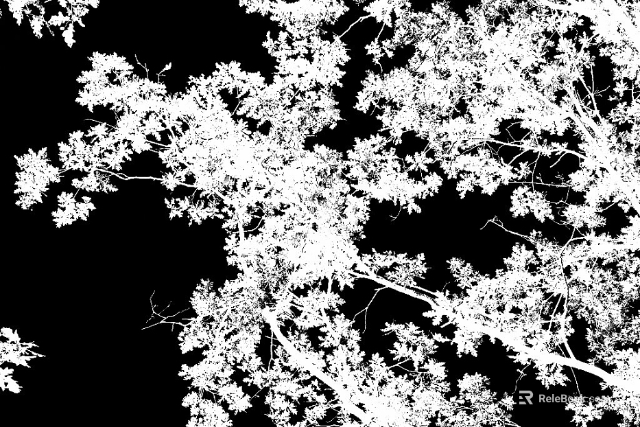 Black and White Tree Shadow Decoration Map texture