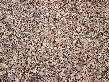 Ground texture (ID:ffabg73408)