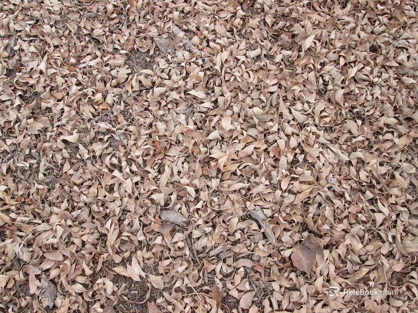 Ground texture