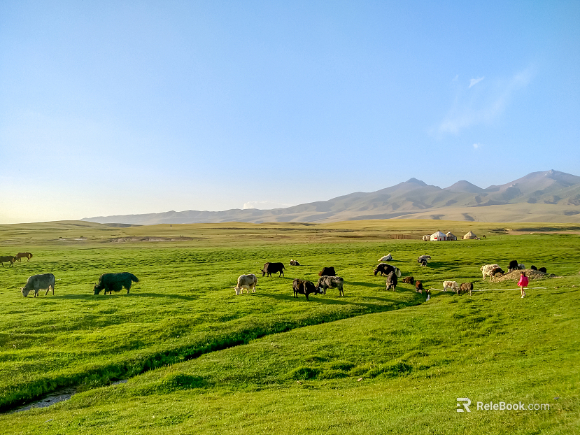 Wild Scenery texture