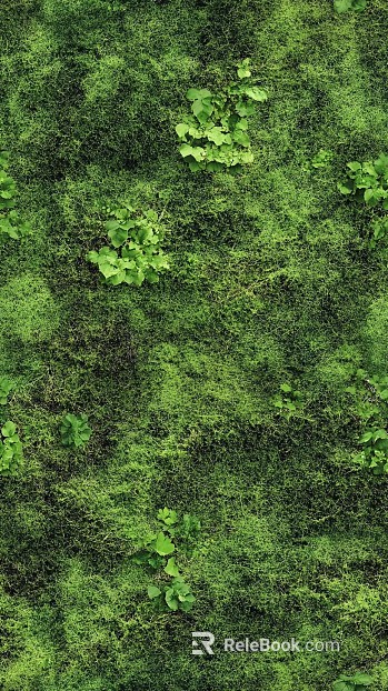 moss texture