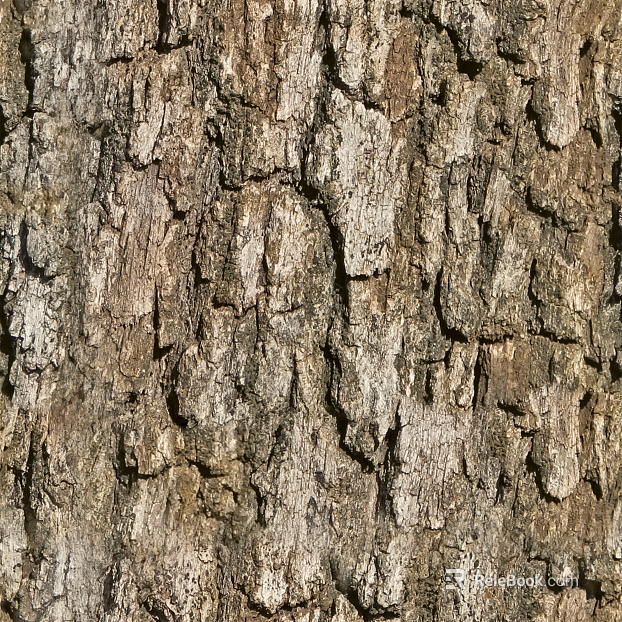 bark texture