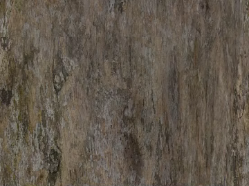 bark texture (ID:ffach632790)