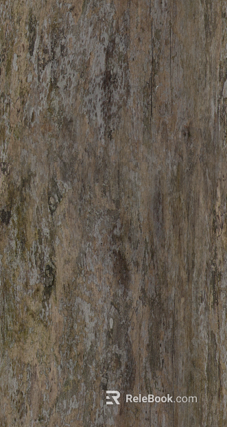 bark texture