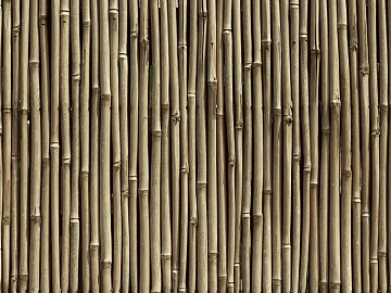 Bamboo texture (ID:ffaag61370)