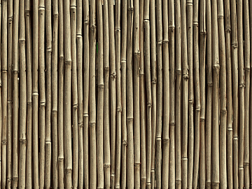 Bamboo texture (ID:ffaag61370)