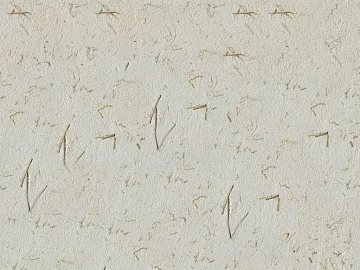 Cement ecological grass mud color exterior paint texture (ID:ffabg93338)