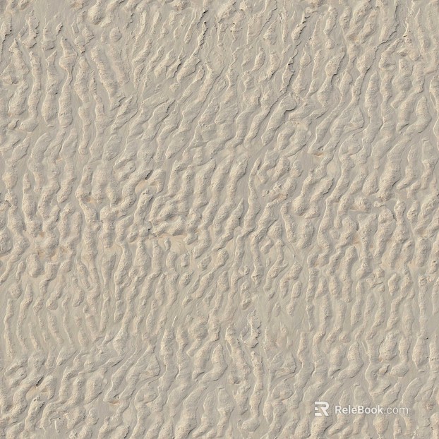 Beach Beach texture