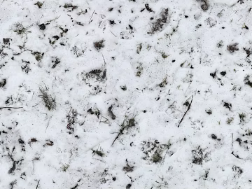 Ground-Snow texture (ID:ffhbe361)