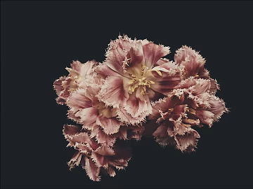 Plant painting texture (ID:ffacg52138)