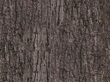 bark texture (ID:ffacg49427)