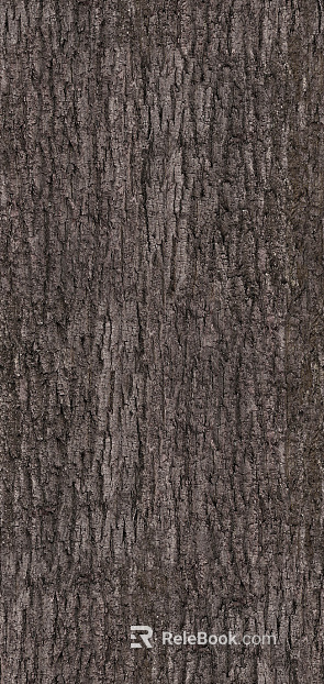 bark texture