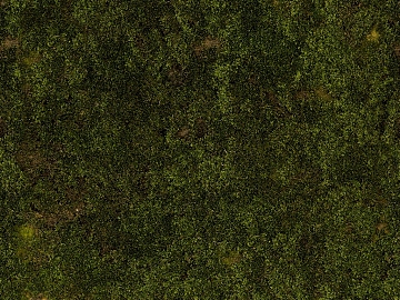 moss texture (ID:ffabg20707)