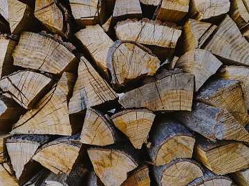 Trunk texture (ID:ffabg06672)