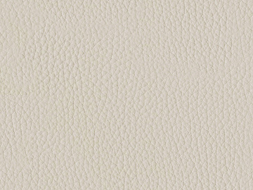 Coarse-grain leather texture (ID:ffajf4733)