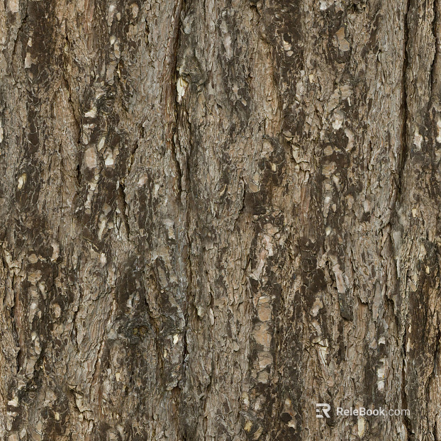 ancient tree bark texture