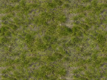 Natural grass lawn texture (ID:ffaeh802274)