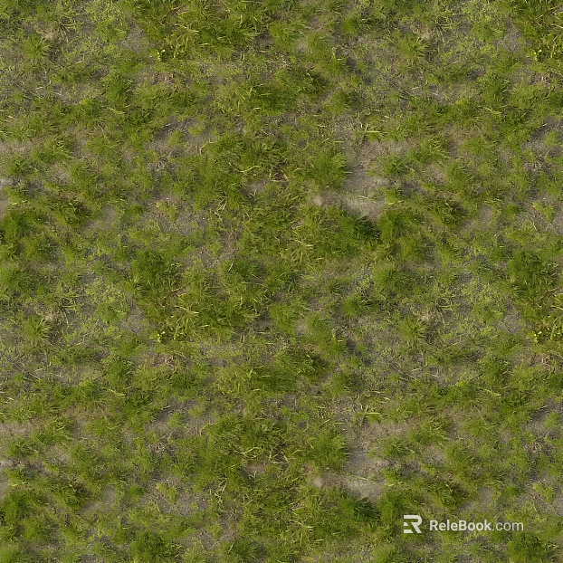 Natural grass lawn texture