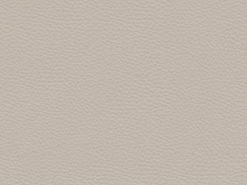 fine grain leather texture (ID:ffagg01278)