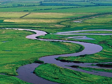 Wild Scenery texture (ID:ffaag28606)