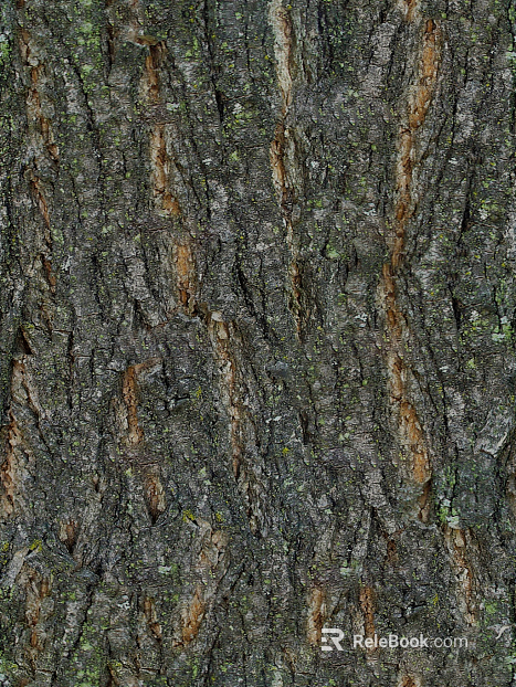 bark texture