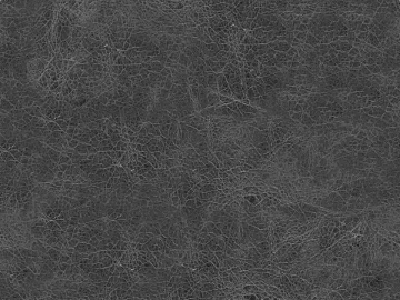 Coarse-grain leather 3d model