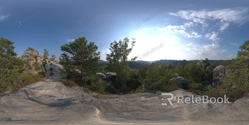 wild hdri texture