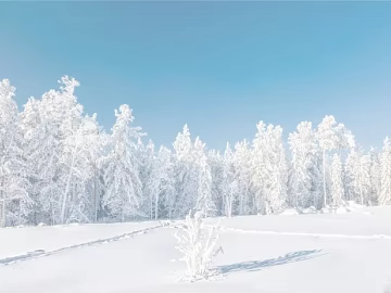 Snow texture (ID:ffaag35263)