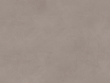 fine grain leather texture (ID:ffajg24255)