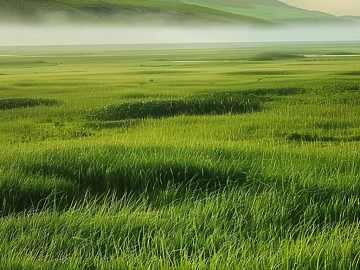 Wild Scenery texture (ID:ffach714710)